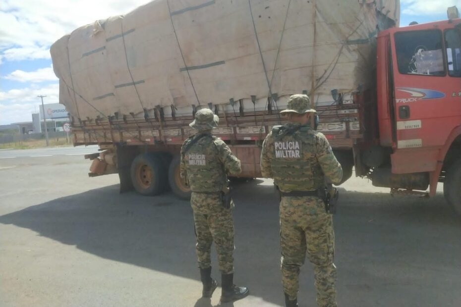 Polícia ambiental apreende caminhão com 20 toneladas de angico na BA-052