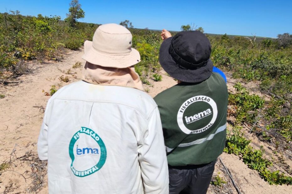 Bahia reduz desmatamento no Cerrado em 52,4%