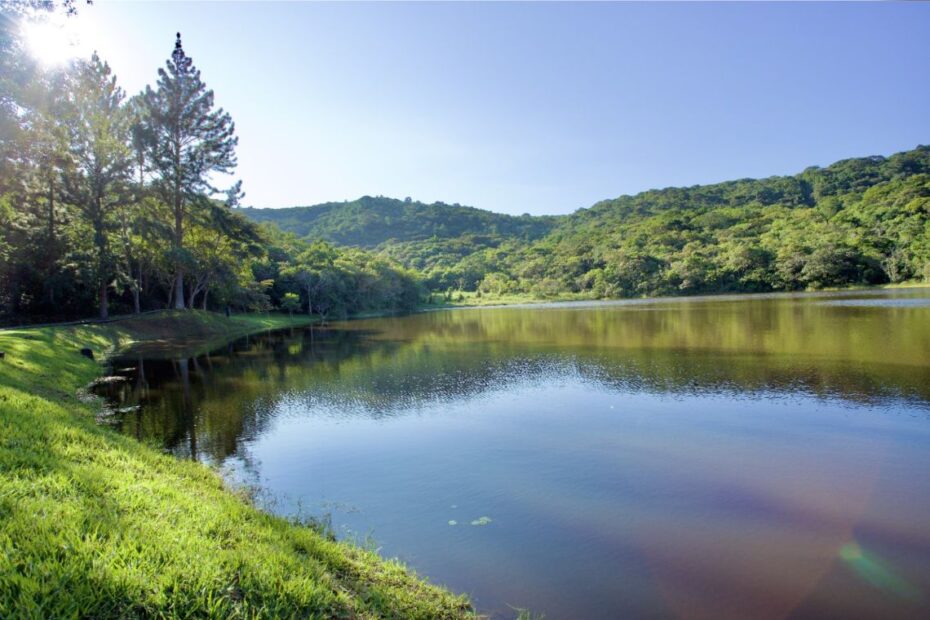 Inema identifica propriedade rural com capacidade de abrigar animais silvestres