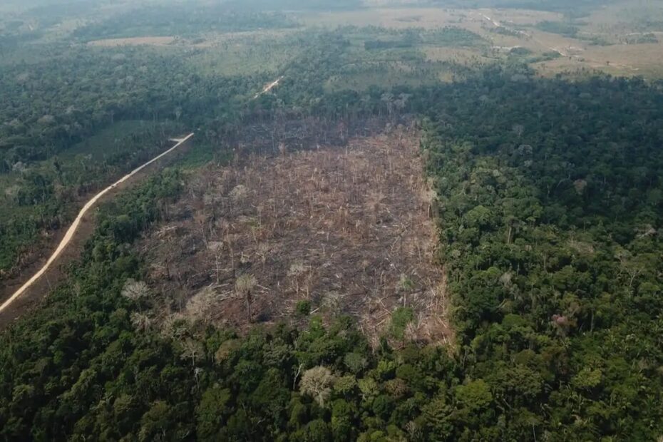 Atenção à crise climática e ao desmatamento é a prioridade com menos recursos