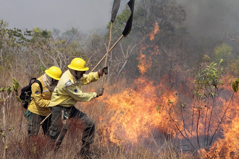 Lula edita decreto para melhorar prevenção e combate à incêndios florestais