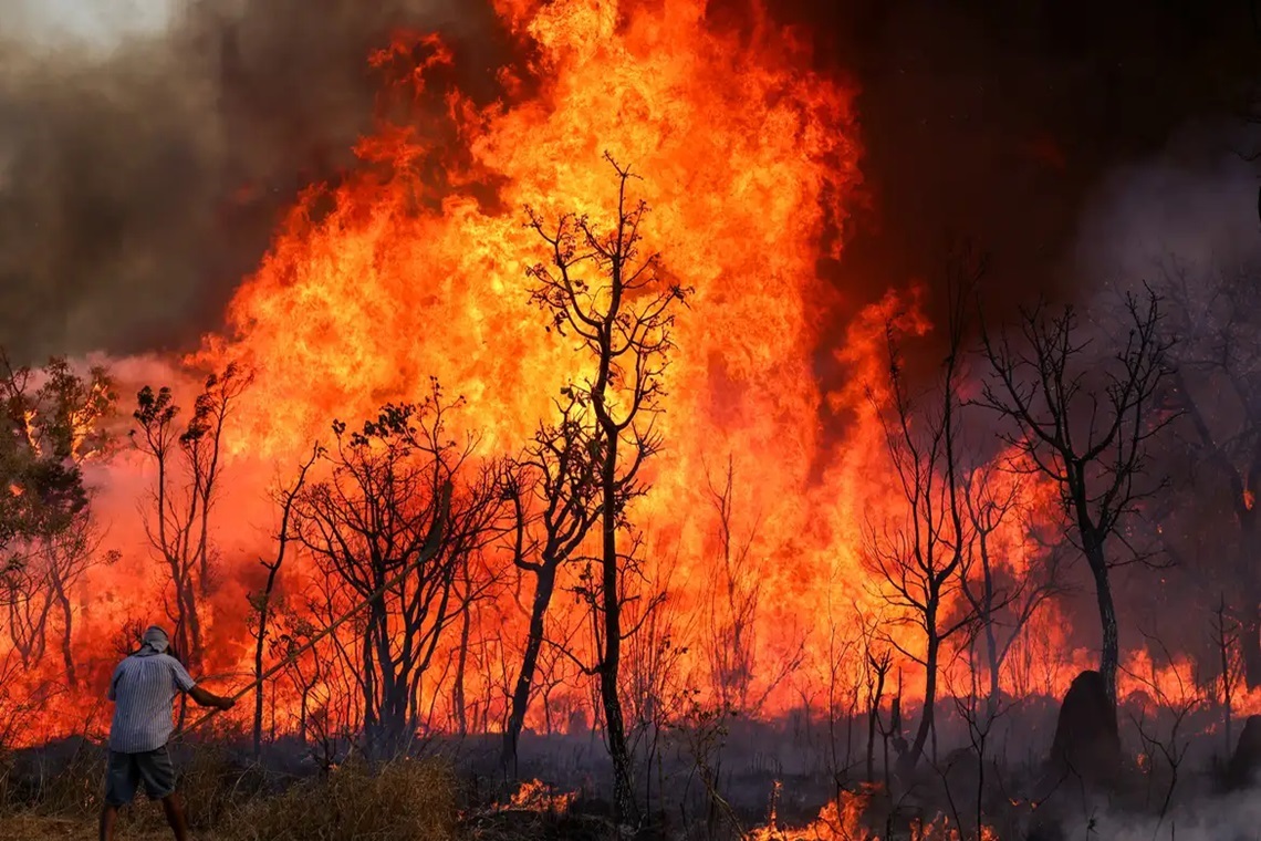 Parque Nacional de Brasília sofre incêndio de grandes proporções