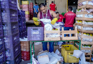 Projeto que reduz impostos para empresas que doarem alimentos é aprovado na CCJ do Senado - 