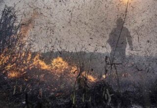 Brasil registra alta de 76% nos focos de incêndio em 2024 - 