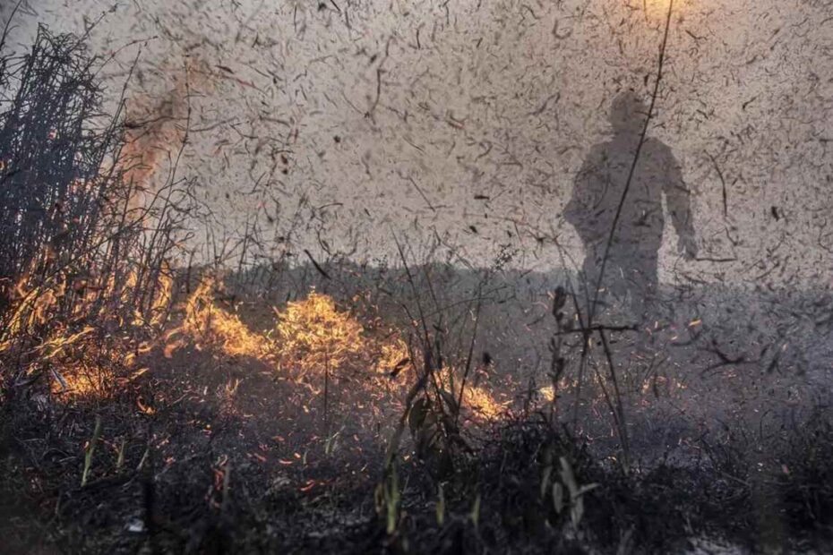 Brasil registra alta de 76% nos focos de incêndio em 2024 - 