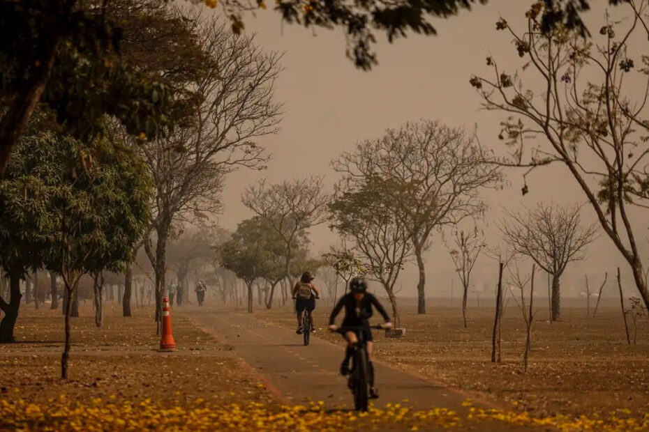 Polícia Federal diz que há indícios de ação coordenada em casos de incêndios ambientais - 