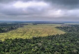 Degradação da Amazônia atinge recorde histórico em setembro - 