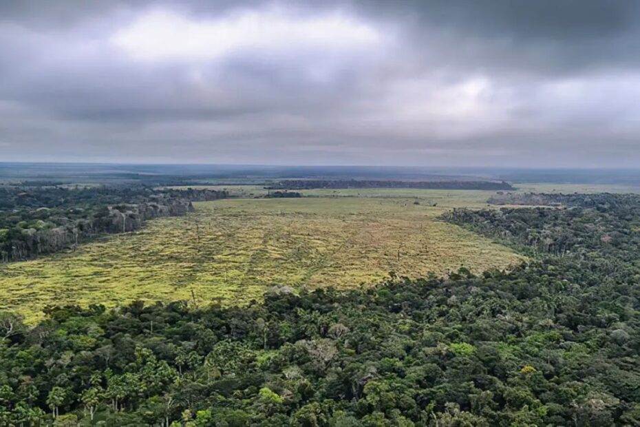 Degradação da Amazônia atinge recorde histórico em setembro - 