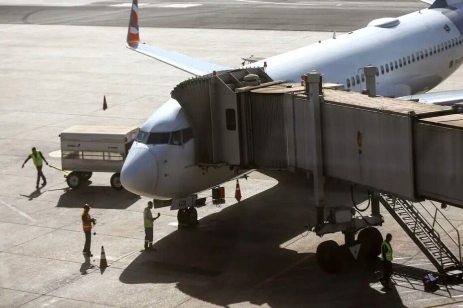 Governo lança diretrizes para segurança no transporte aéreo de animais - 