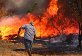 Governo propõe aumento de penas para incêndios florestais no país - 