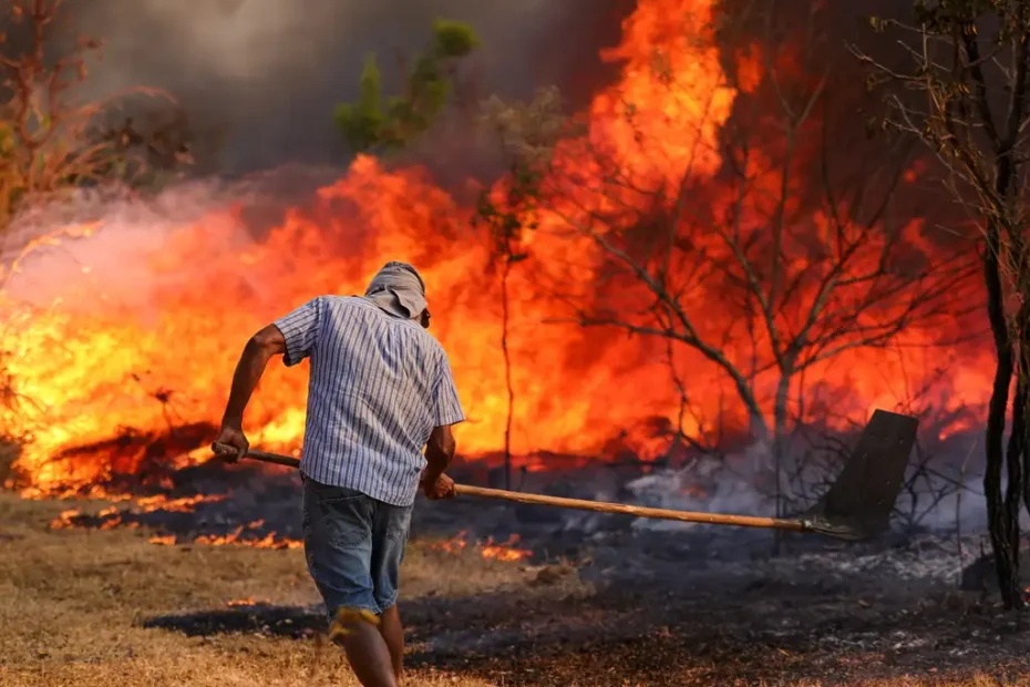 Governo propõe aumento de penas para incêndios florestais no país - 