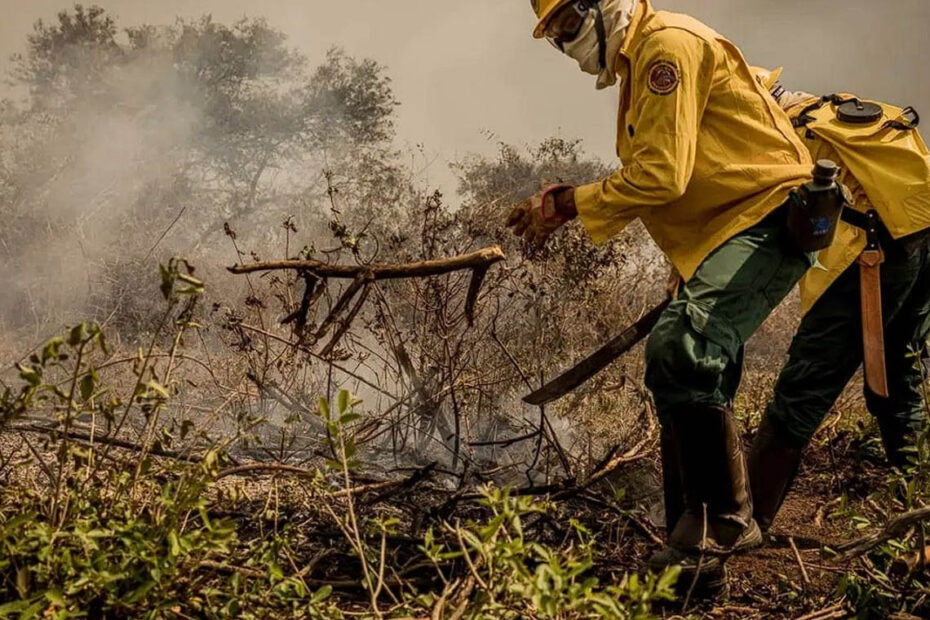 Bombeiros monitoram incêndios 28 fazendas de 21 cidades em Mato Grosso - 