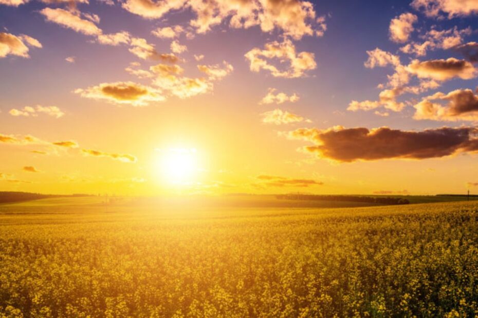 Inmet: previsão emite alerta para calor intenso em regiões do Brasil nos próximos três meses - 