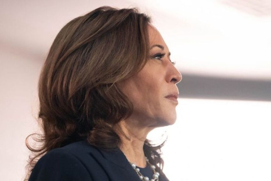 Nova pesquisa feita nos Estados Pêndulos mostra Kamala Harris liderando a disputa presidencial - 