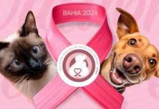 Hospital Veterinário da UFBA oferece atendimento clínico gratuito em campanha do Outubro Rosa Pet - 