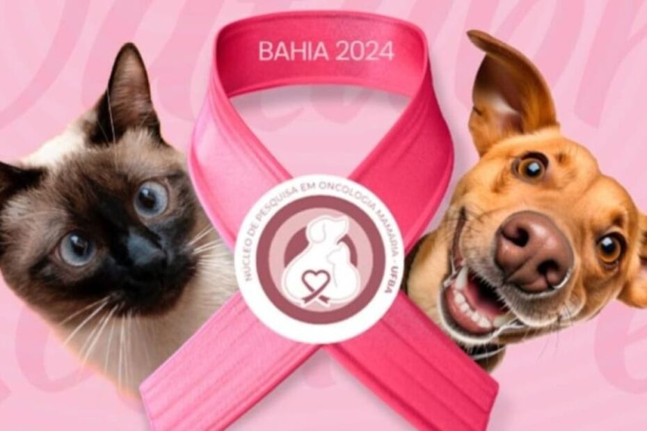 Hospital Veterinário da UFBA oferece atendimento clínico gratuito em campanha do Outubro Rosa Pet - 