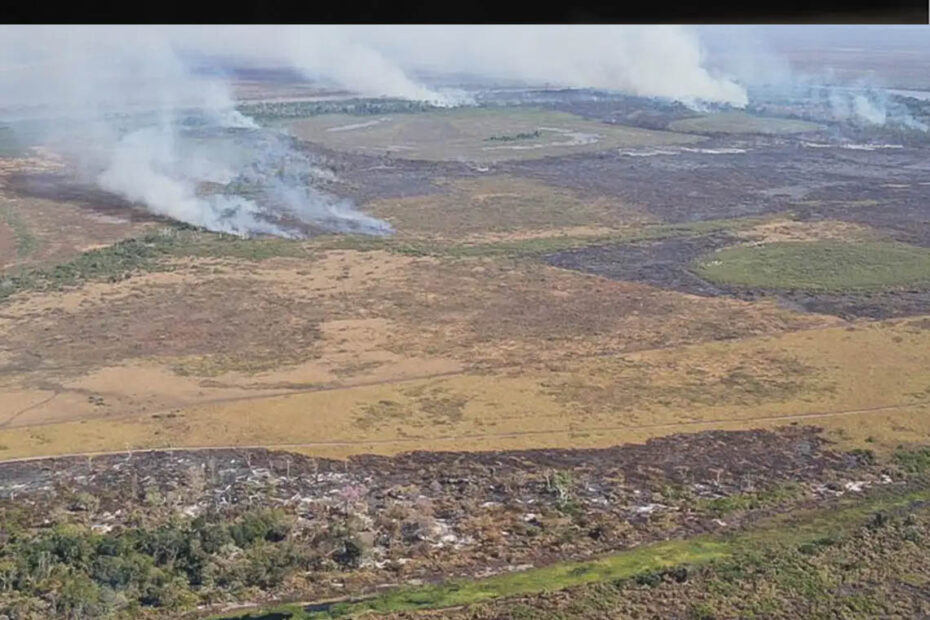 PF investiga incêndios criminosos para criação de gado em terras da União no Pantanal - 