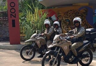 Polícia ambiental intensifica segurança no Zoológico de Salvador durante semana da criança - 