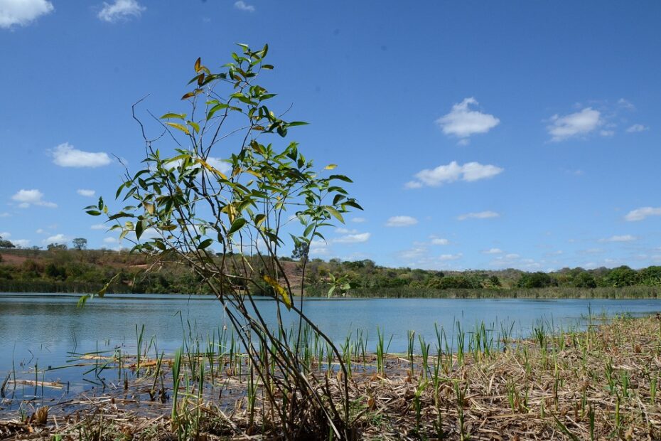 Inema promove preservação e monitoramento na sub-bacia do Rio Utinga - 