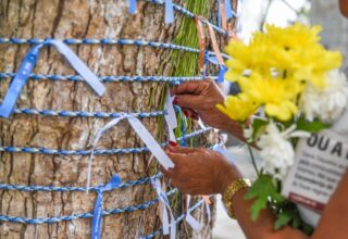 Cerca de 5 mil pessoas devem comparecer ao cemitério Campo Santo no Dia de Finados - 