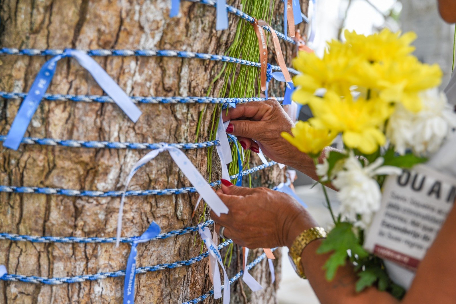 Cerca de 5 mil pessoas devem comparecer ao cemitério Campo Santo no Dia de Finados - 