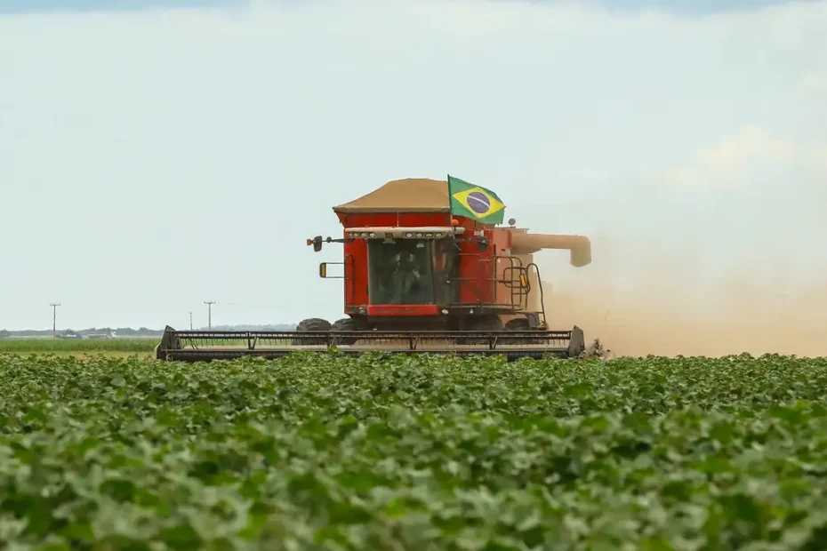 Governo lança terceira edição do plano nacional de agroecologia e produção orgânica - 