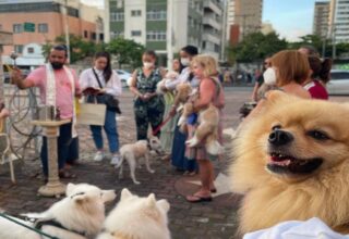 Salvador celebra São Francisco de Assis com homenagens e bençãos aos animais - 