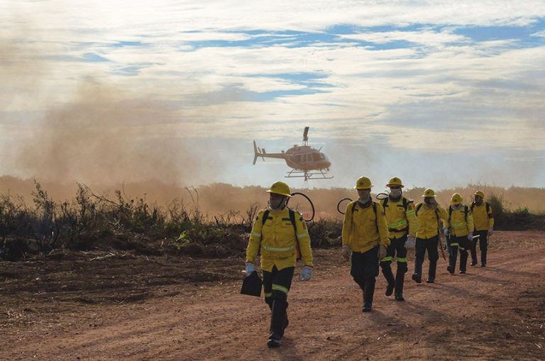 MP reduz intervalo para recontratação de pessoal para combate a incêndios - 