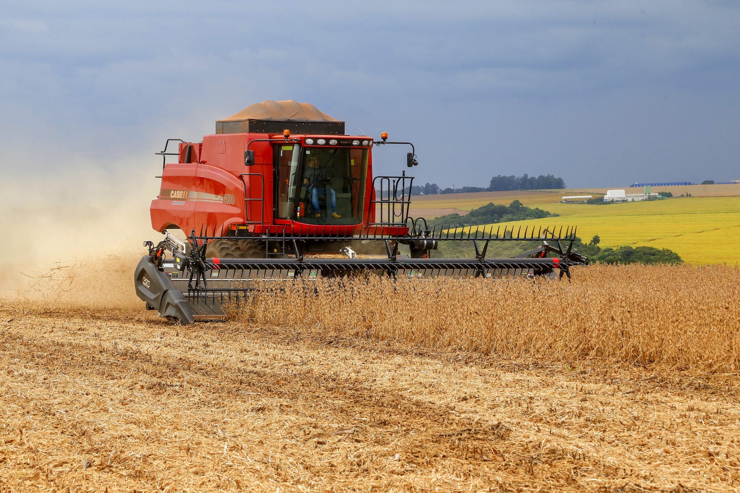 IBGE aponta safra agrícola de 2024 com queda de 6,2% em relação ao ano anterior - 