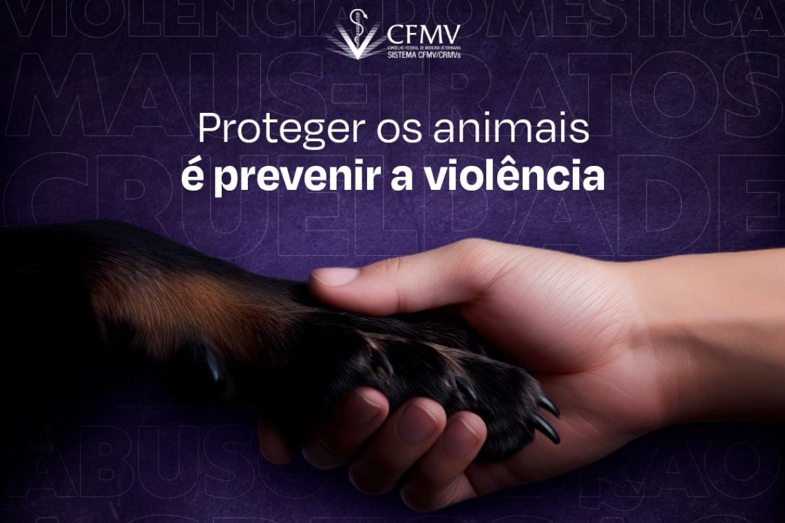 Campanha alerta sobre elo entre violência contra animais e doméstica - 