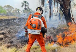 Corpo de Bombeiros combate cerca de 960 focos de incêndio na Bahia - 