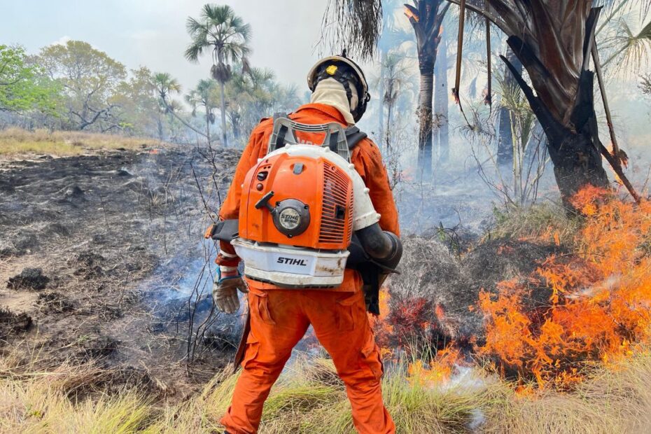 Corpo de Bombeiros combate cerca de 960 focos de incêndio na Bahia - 