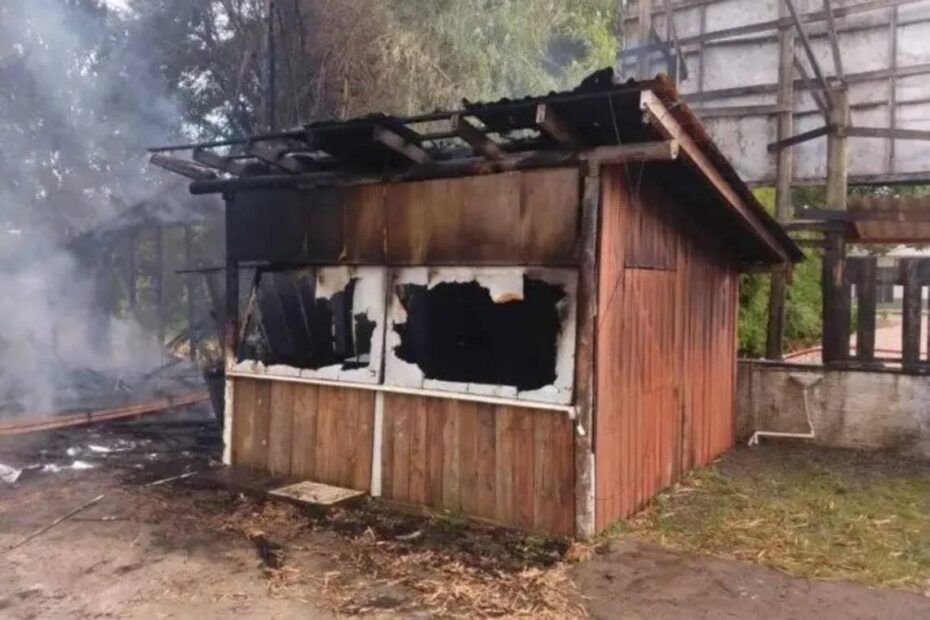 Incêndio em SC deixa ex-mulher de Tiü França gravemente ferida - 