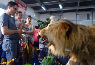 Fenagro 2024 terá Museu da Anatomia Animal com réplicas realistas de espécies brasileiras - 