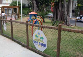 Prefeitura amplia Dog Parks em Salvador - 