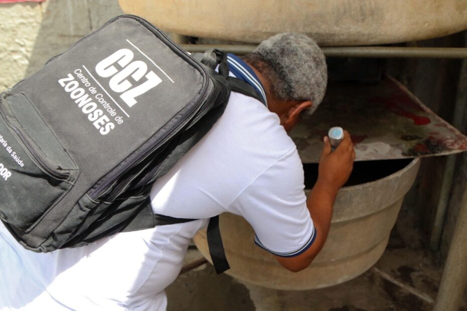 Salvador promove Dia D contra dengue com ações de combate ao Aedes aegypti nesta sexta - 