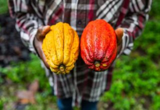 Fórum gratuito sobre agricultura familiar acontece em Salvador nesta terça-feira - 