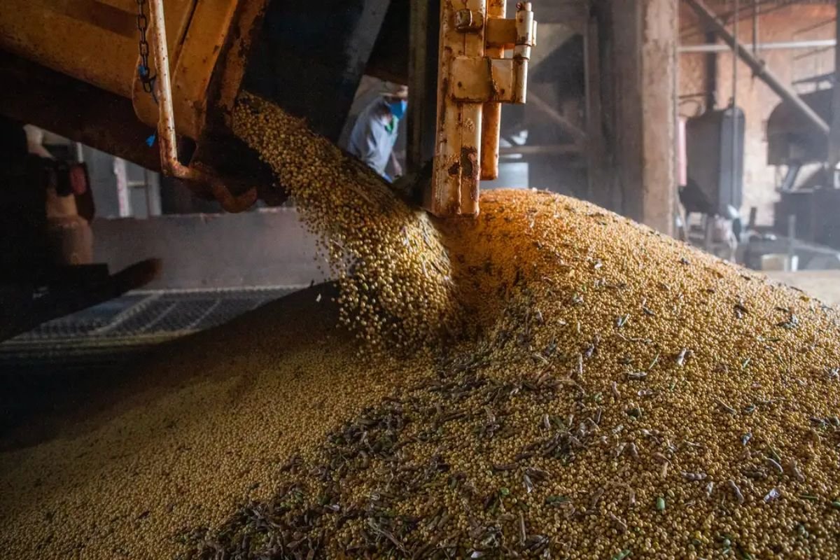 ‘Tarifaço’ de Trump contra Irã coloca US$ 2,8 bi do superávit brasileiro sob ameaça - 