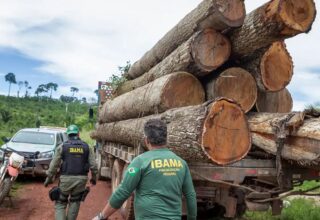 Ibama abre concurso público com 460 vagas em todo o Brasil e salários de até R$ 9,9 mil - 