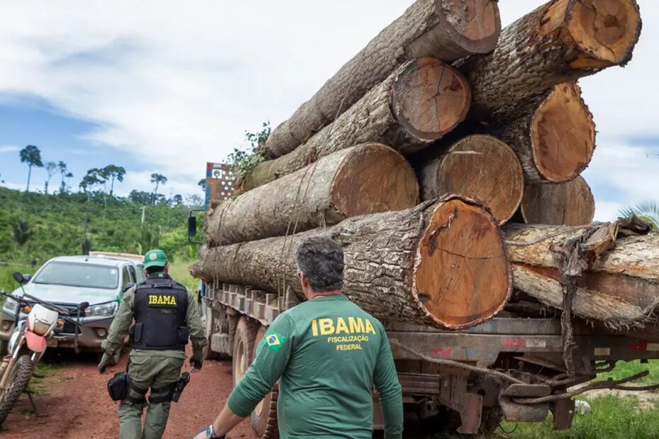 Ibama abre concurso público com 460 vagas em todo o Brasil e salários de até R$ 9,9 mil - 