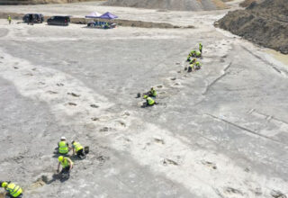 Trabalhador encontra ‘rodovia de dinossauros’ com 200 pegadas fossilizadas na Inglaterra - 