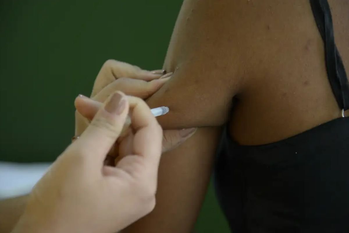 Ministério da Saúde emite alerta para aumento de casos de Febre Amarela - 