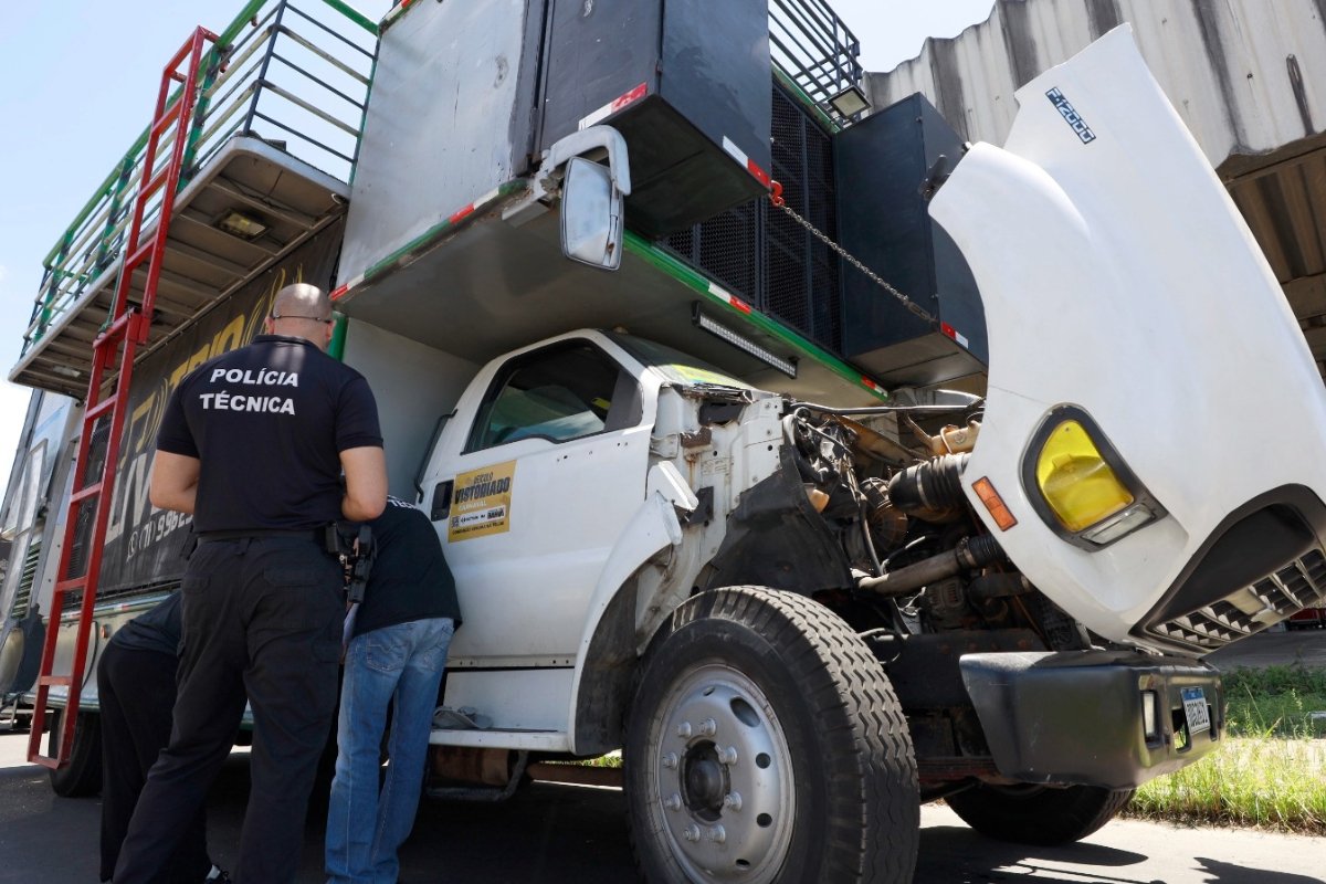 Vistoria de veículos para Furdunço e Fuzuê termina nesta sexta-feira - 