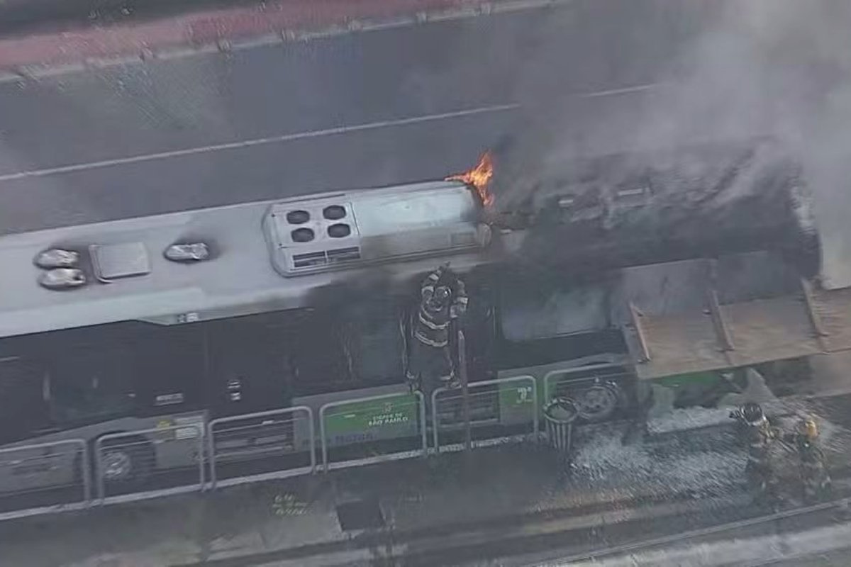 Advogado e piloto são vítimas fatais da queda de avião em São Paulo - 