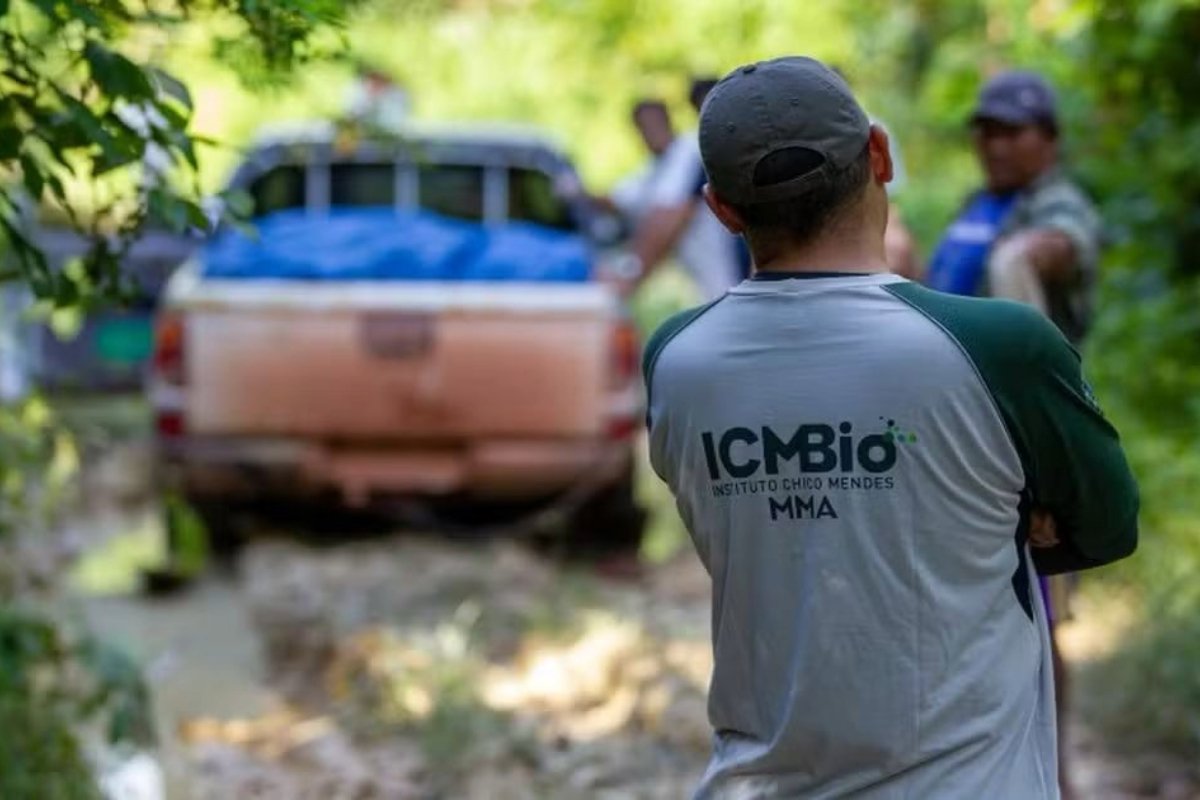 Mais de 117 mil inscritos disputam concurso do ICMBio neste domingo em todas capitais - 