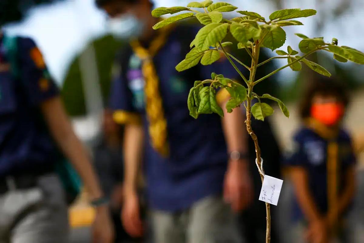 Circular Tech Skills: Salvador sedia congresso internacional de economia circular com foco em inovação e sustentabilidade - 