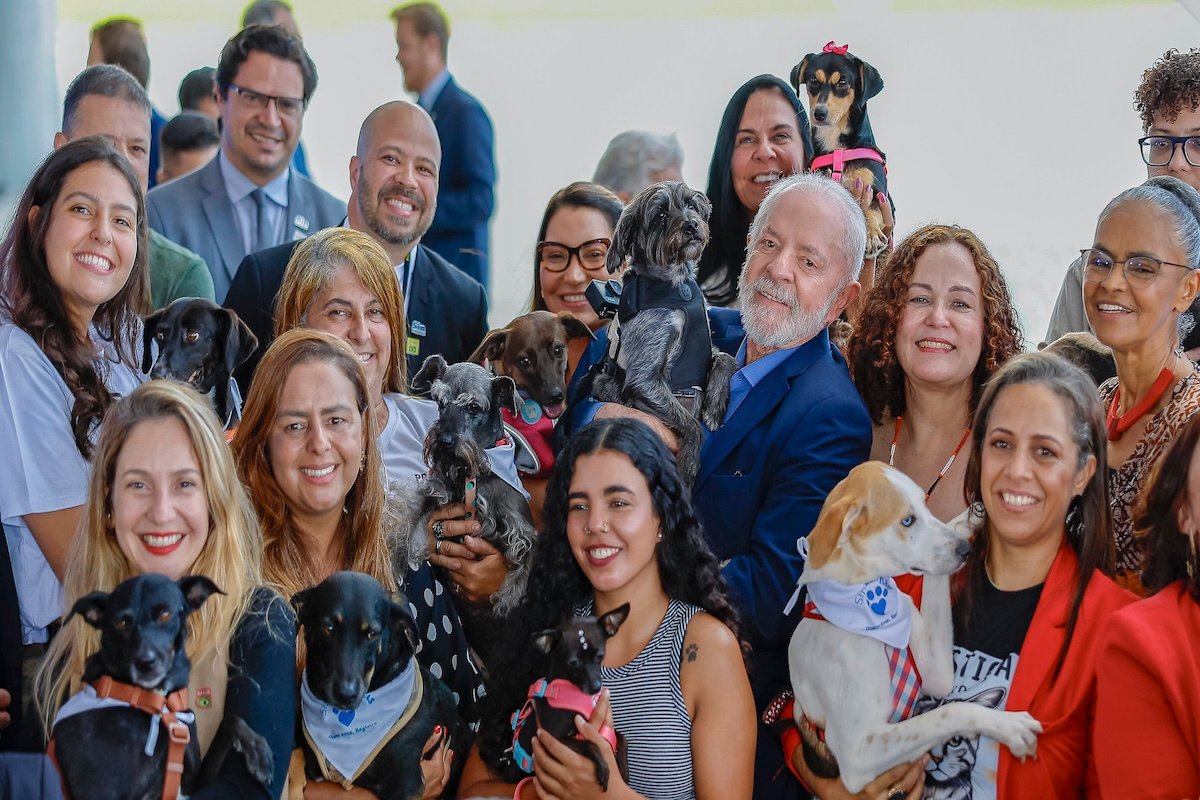 RG animal gratuito já está disponível: veja como cadastrar seu pet e garantir castração e microchip - 