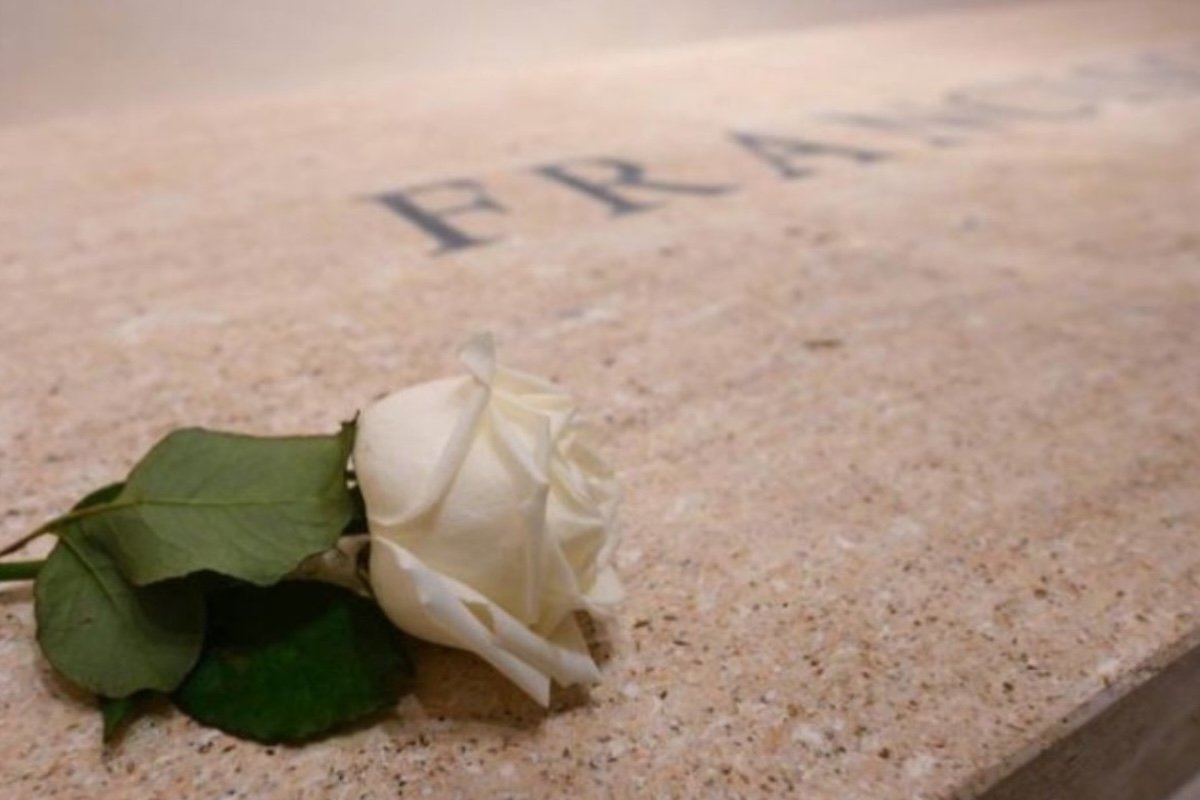 Rosa branca sobre túmulo de Francisco emociona fiéis e revela devoção secreta do papa - 