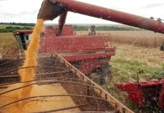 Tarifaço de Trump: EUA cogitam isenção de tarifa para café, abacaxi e manga - 