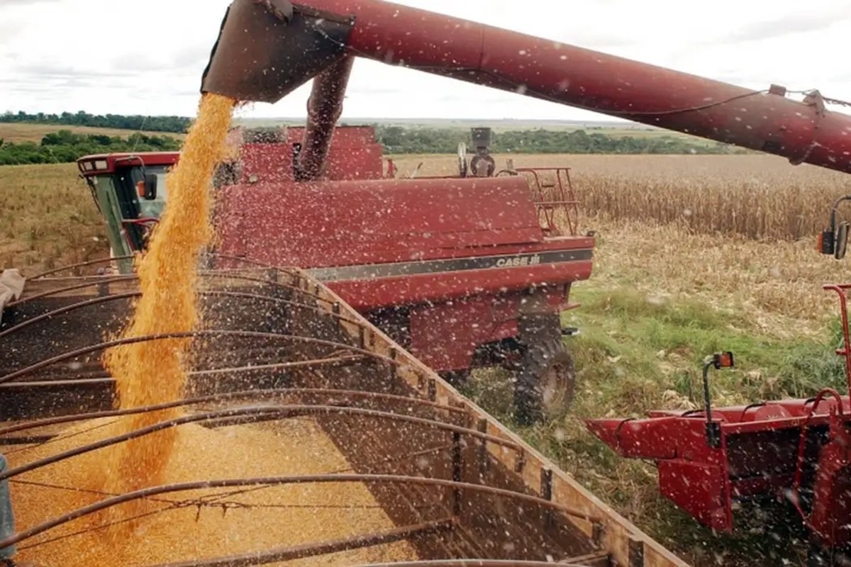 Tarifaço de Trump: EUA cogitam isenção de tarifa para café, abacaxi e manga - 